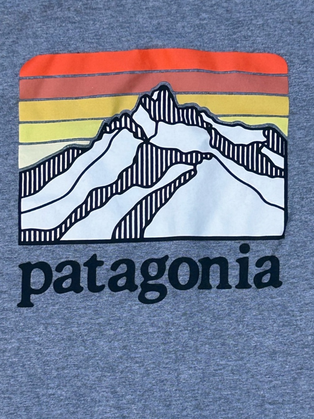 Patagonia Kids 14 16 Graphic T Shirt Gray Mountain Logo Youth Tee girl boy - Picture 2 of 4